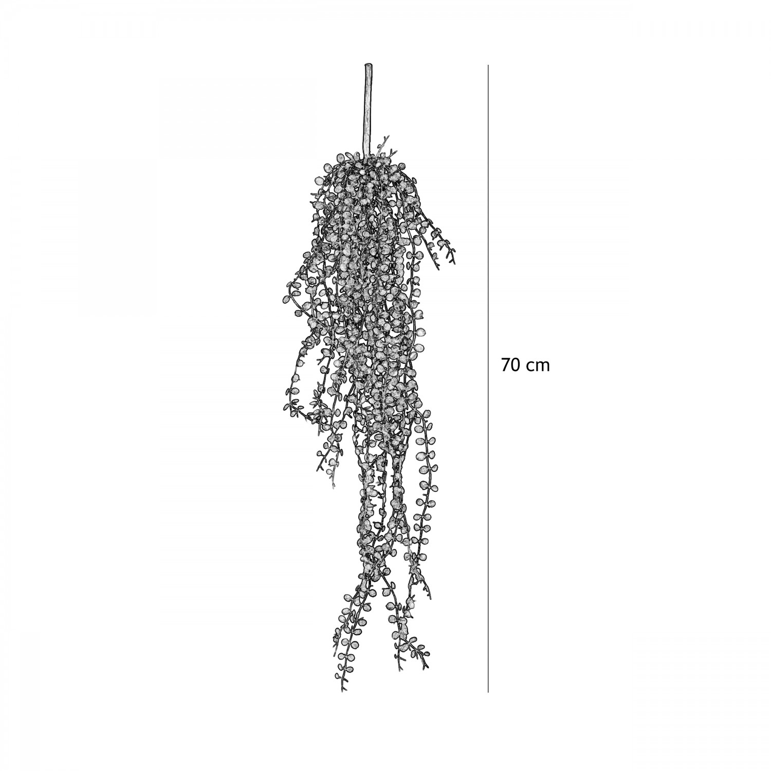 Chute plante artificielle de ceropegia 70cm graphique avec les dimensions