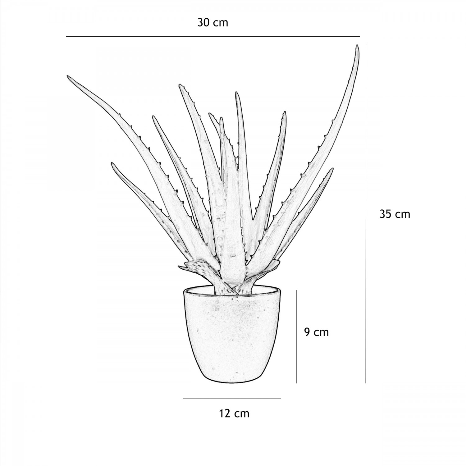 Aloe vera artificiel 35cm graphique avec les dimensions