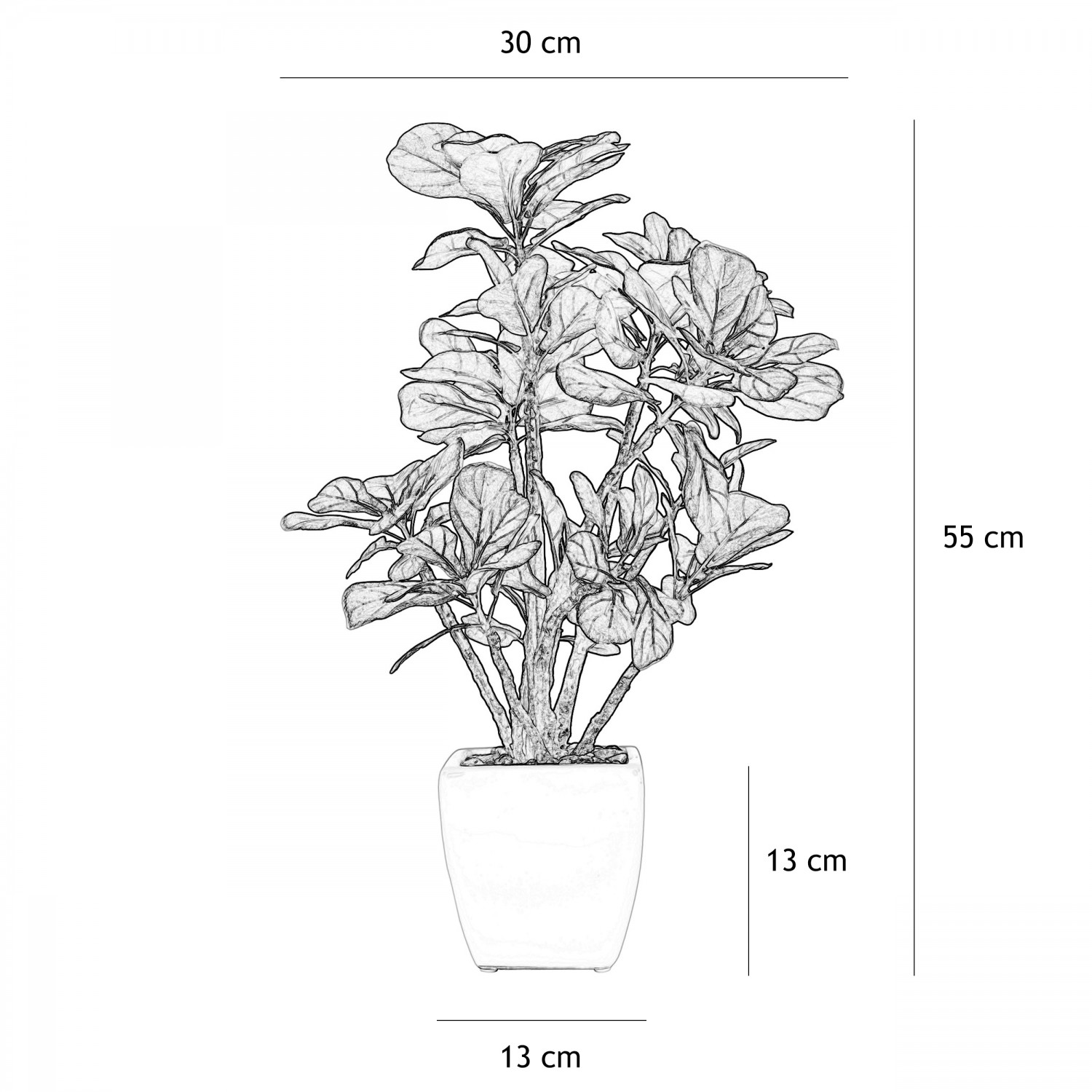 Ficus artificiel lyrata 55cm graphique avec les dimensions