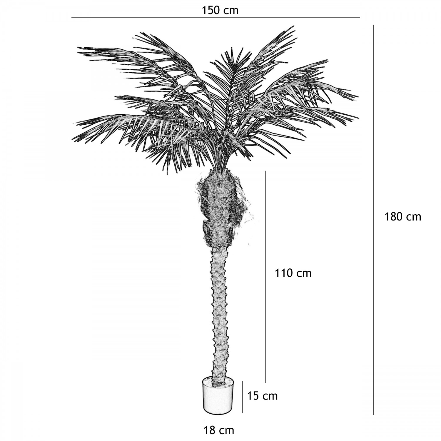 Palmier artificiel areca 180cm graphique avec les dimensions