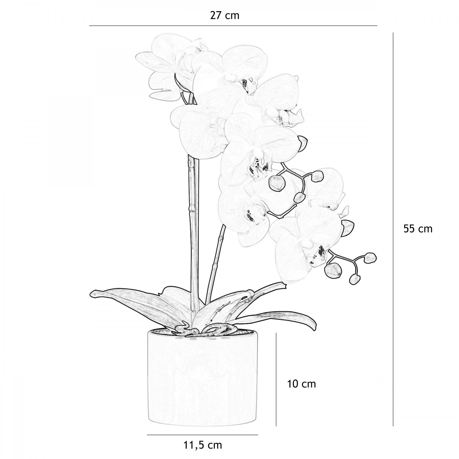 Orchidées artificielles blanches 55cm graphique avec les dimensions