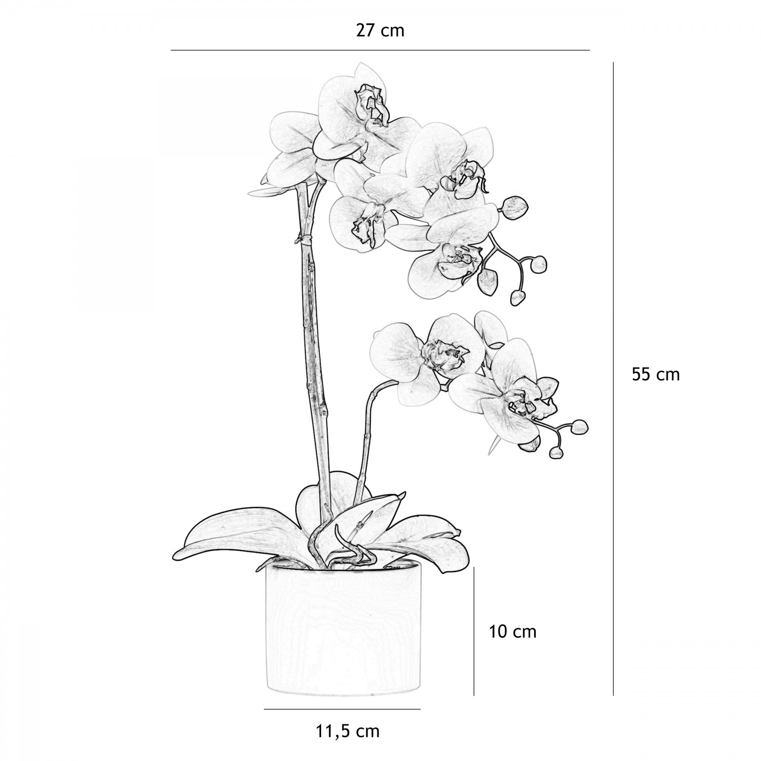Orchidées artificielles fuchsia 55cm graphique avec les dimensions