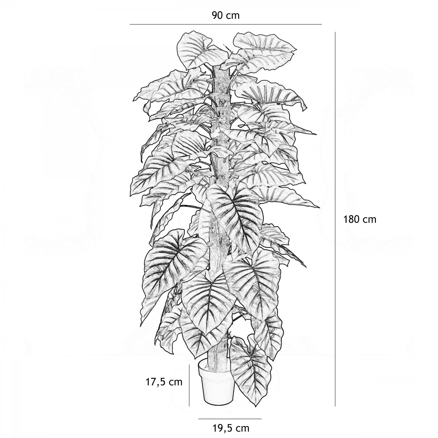 Philodendron artificiel tronc coco 180cm graphique avec les dimensions