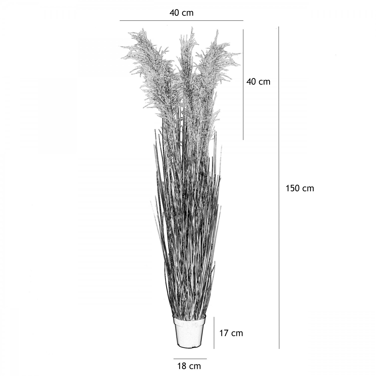 Herbes de la pampa artificielles 150cm graphique avec les dimensions