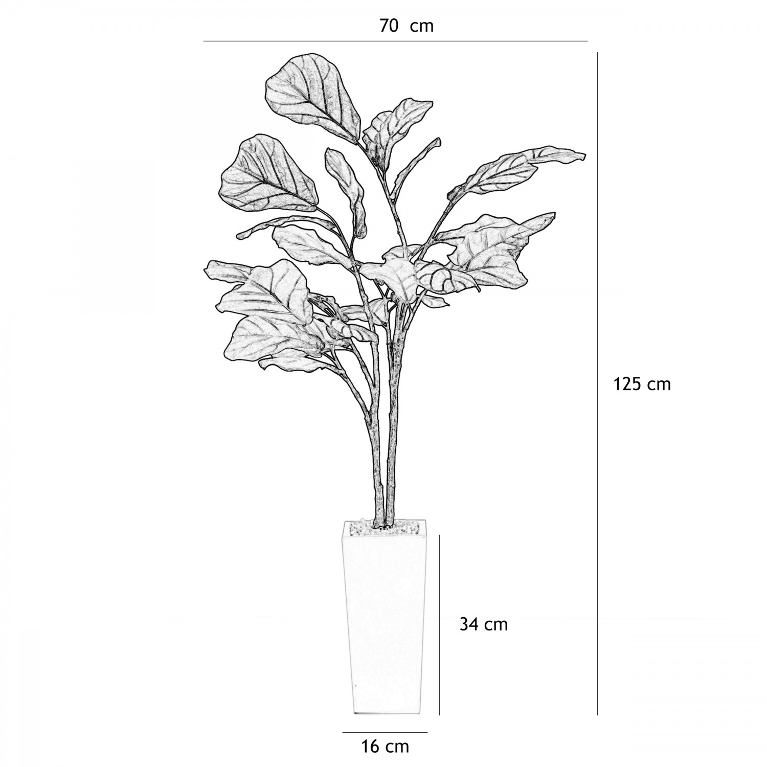 Ficus artificiel lyrata 125cm graphique avec les dimensions