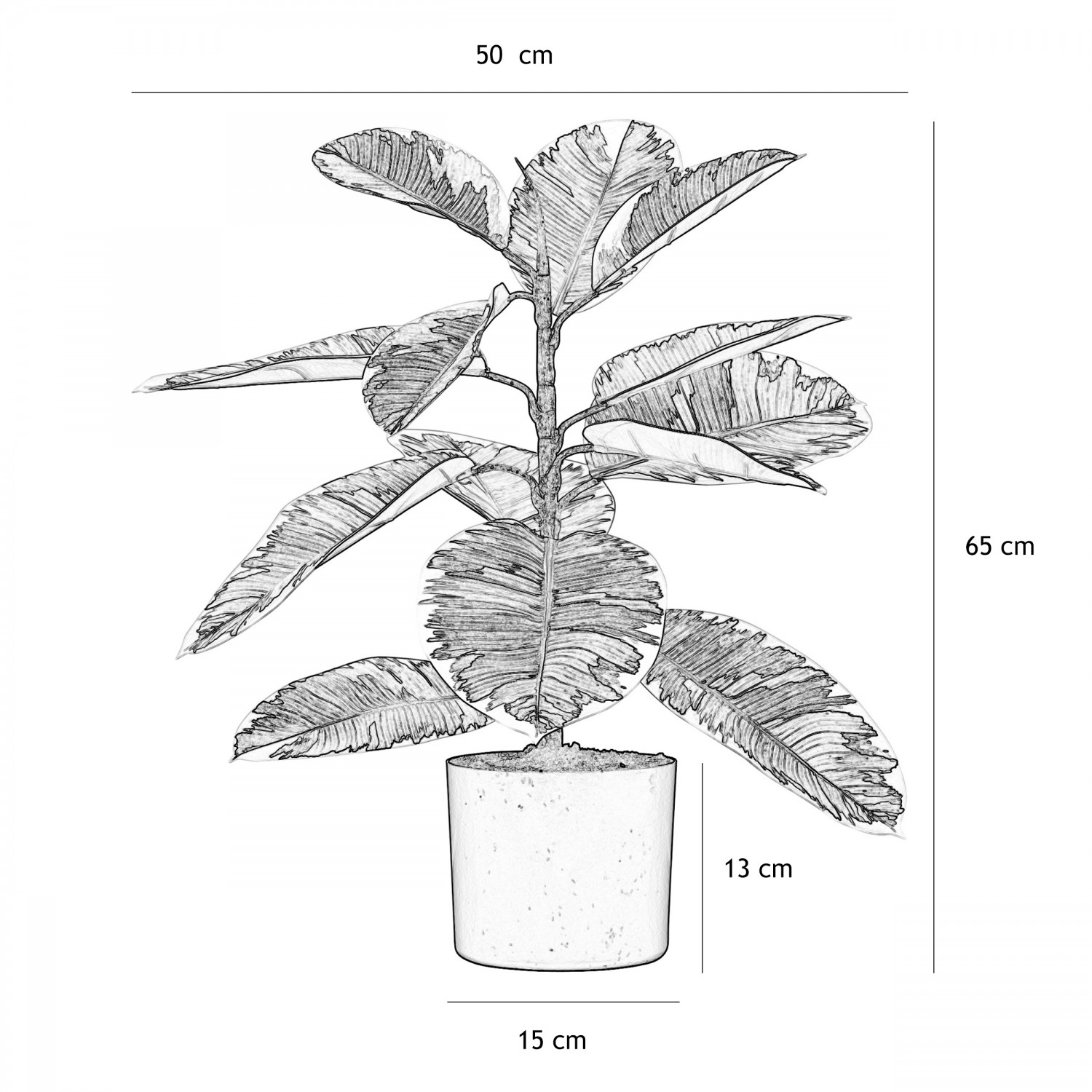 Plante verte artificielle caoutchouc 65cm graphique avec les dimensions