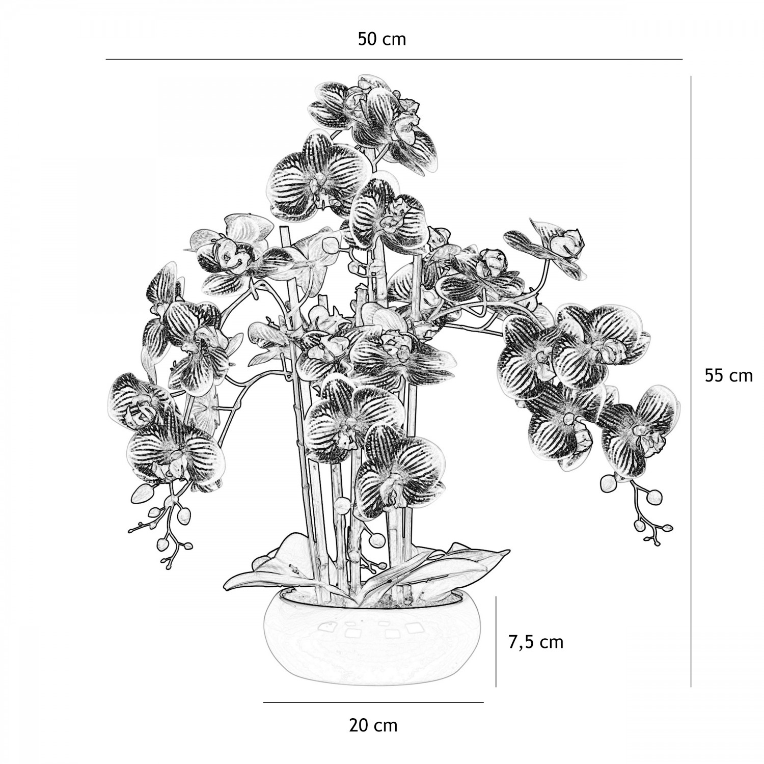 Orchidées artificielles blanches fuchsias 55cm graphique avec les dimensions