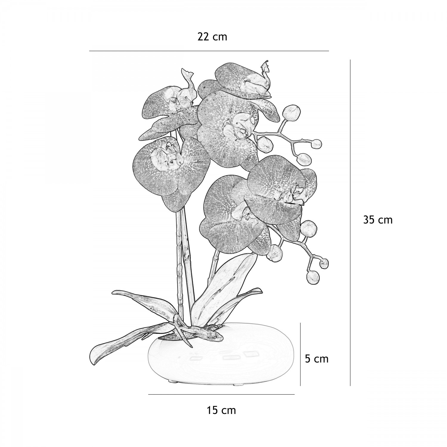 Orchidées artificielles fuchsia 35cm graphique avec les dimensions