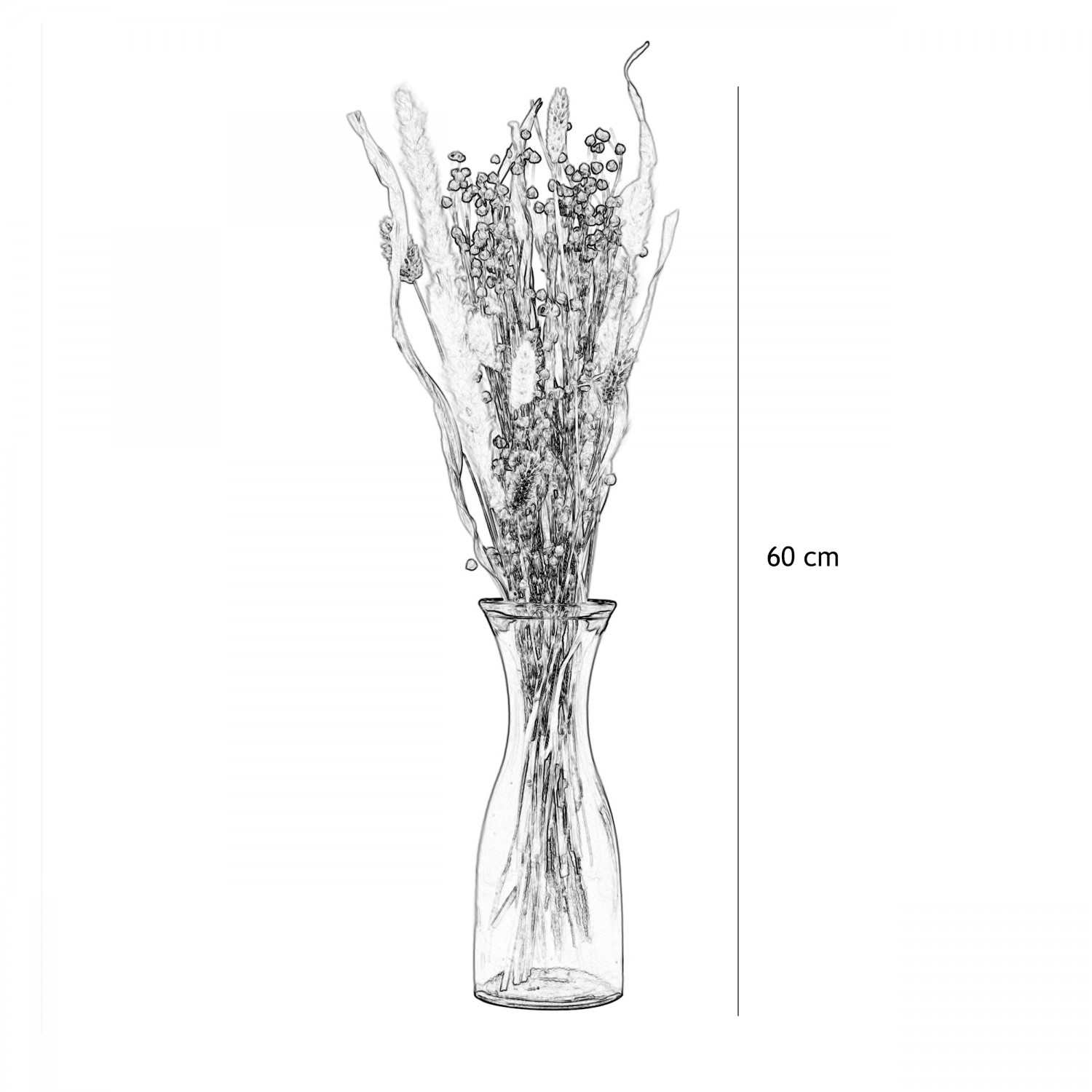 Bouquet fleur séchée naturelle crème 60cm graphique avec les dimensions