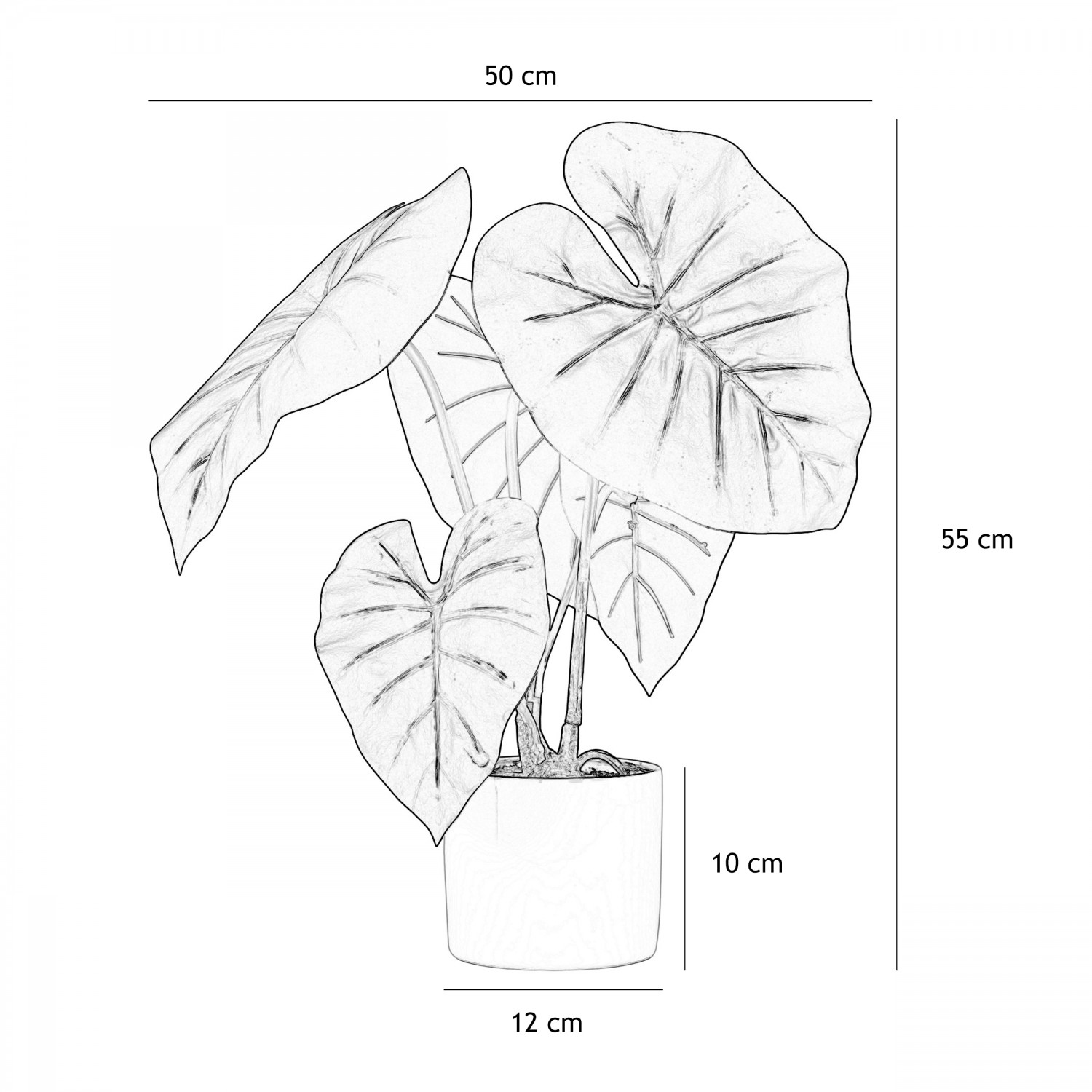 Plante taro artificiel en pot céramique 55cm graphique avec les dimensions