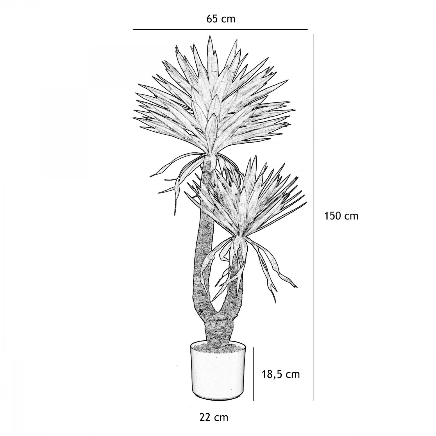 Yucca artificiel 2 troncs 150cm graphique avec les dimensions