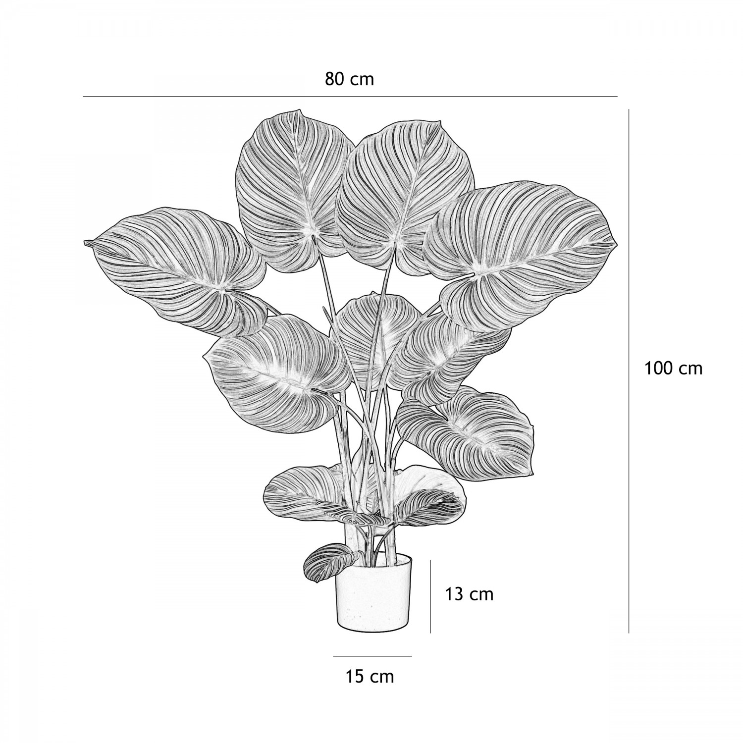 Plante verte calathea artificiel 100cm graphique avec les dimensions