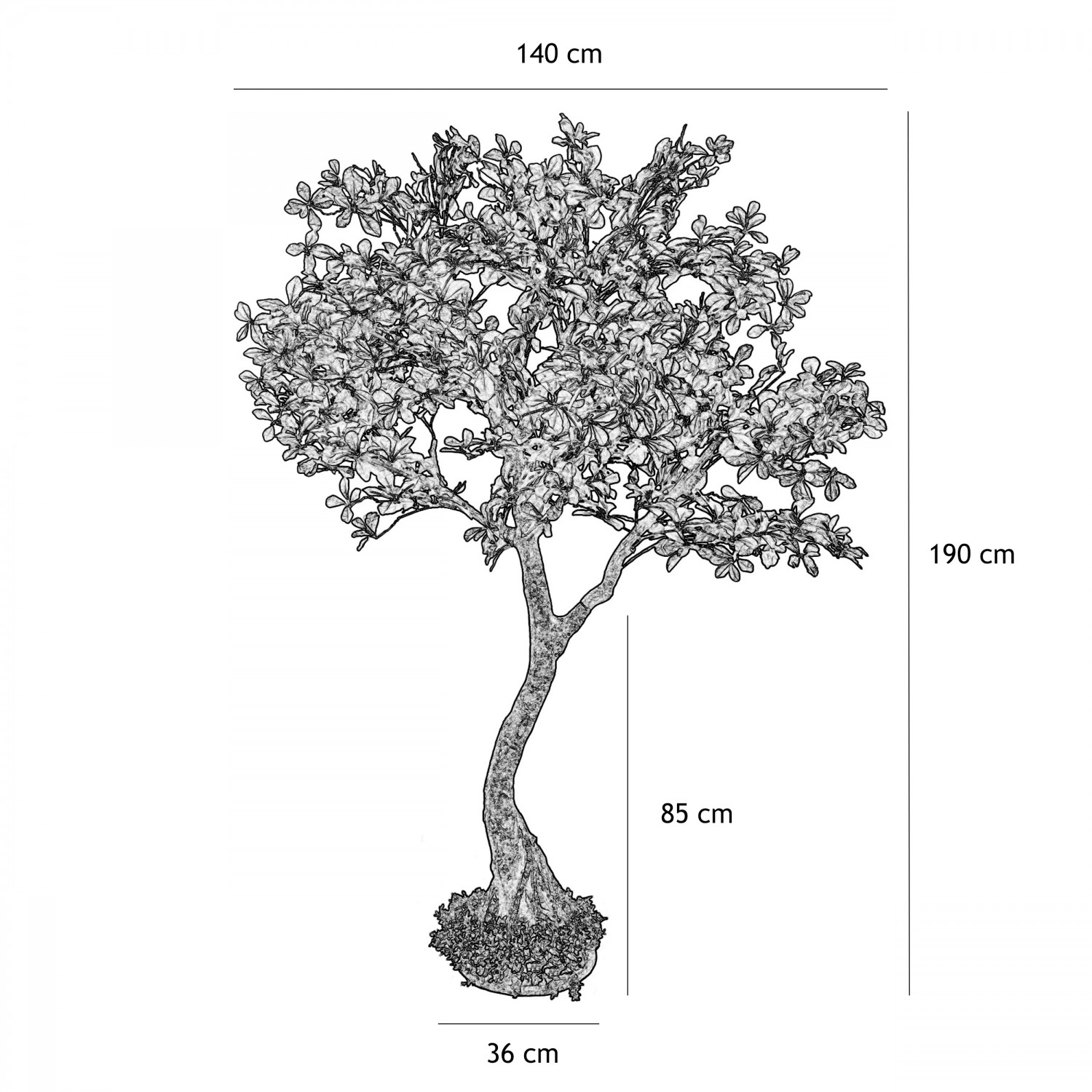 Schefflera luseana bonsaï artificiel 190cm graphique avec dimensions