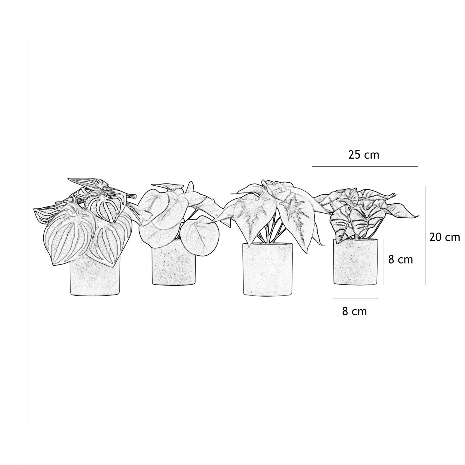 Plantes artificielles 20cm lot de 4 graphique avec les dimensions