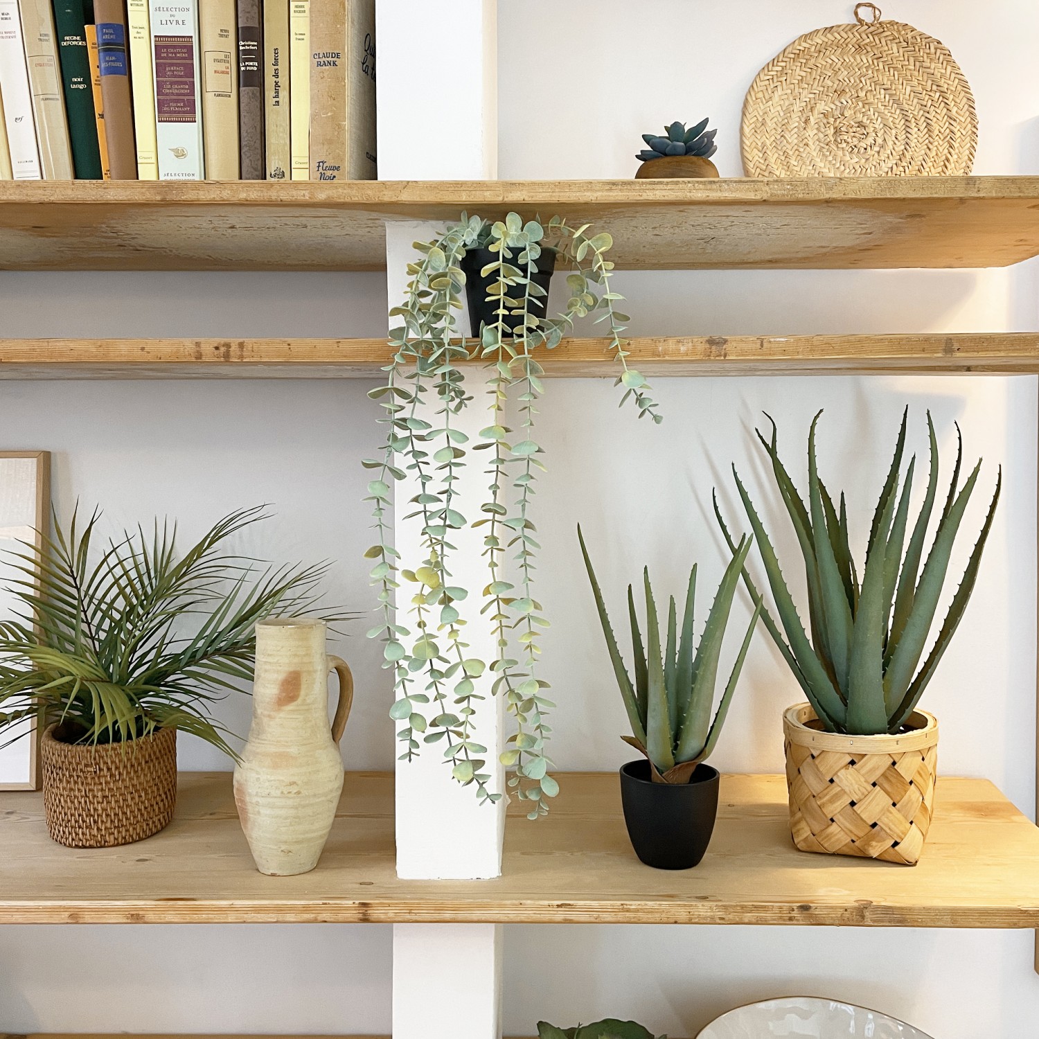 Aloe vera artificiel 35cm posé sur une étagère avec d'autres plantes vertes