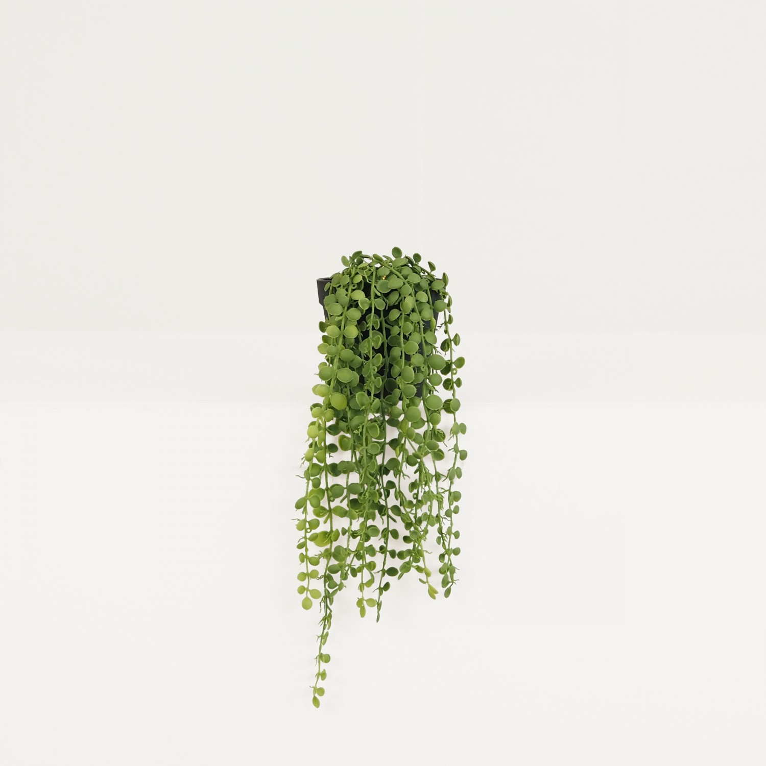 Plante succulente retombante artificielle 40cm sur fond beige