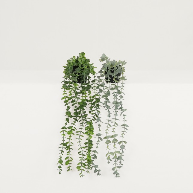 Plante succulente retombante artificielle 50cm lot de 2 sur fond beige