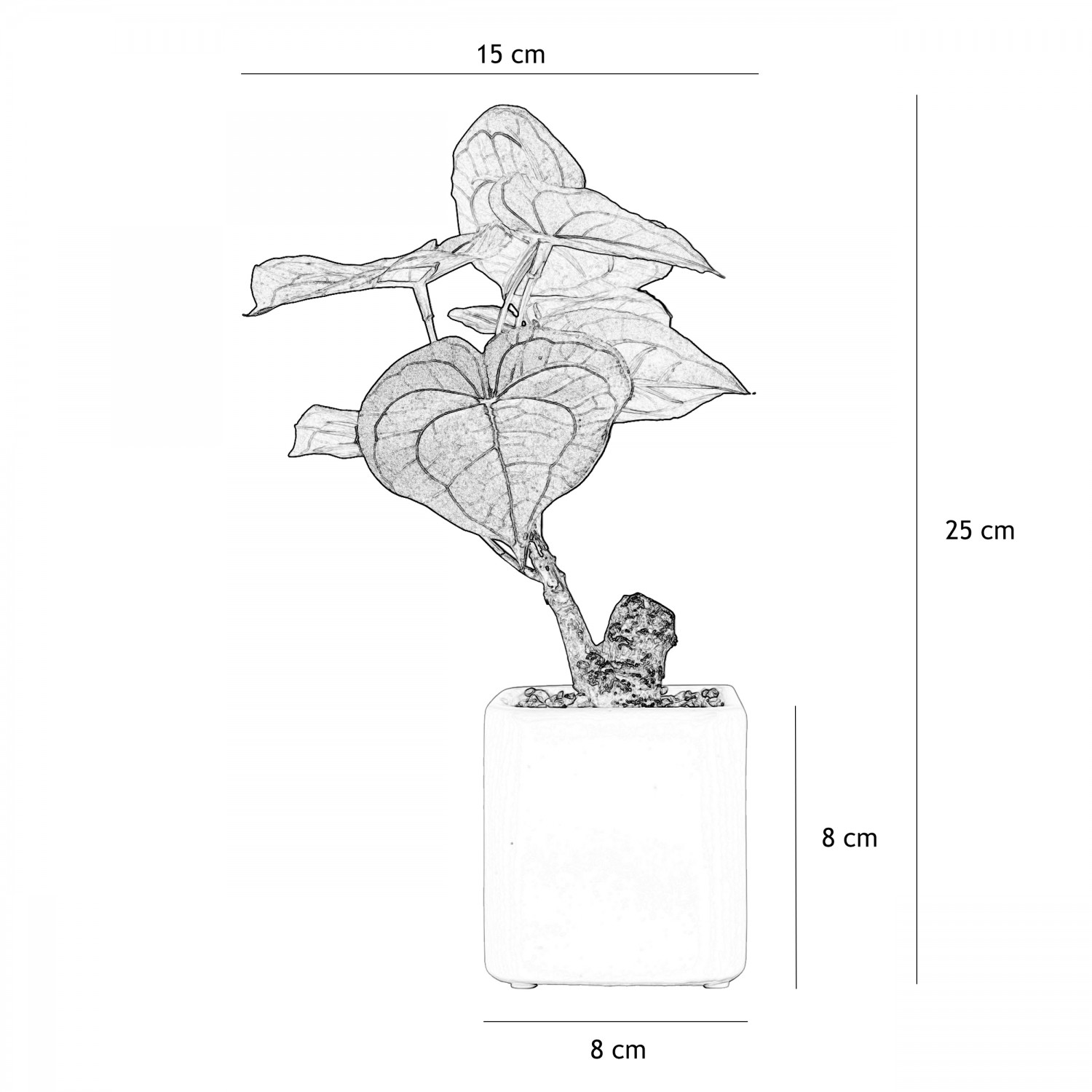 Philodendron artificiel pot céramique 25cm graphique avec les dimensions