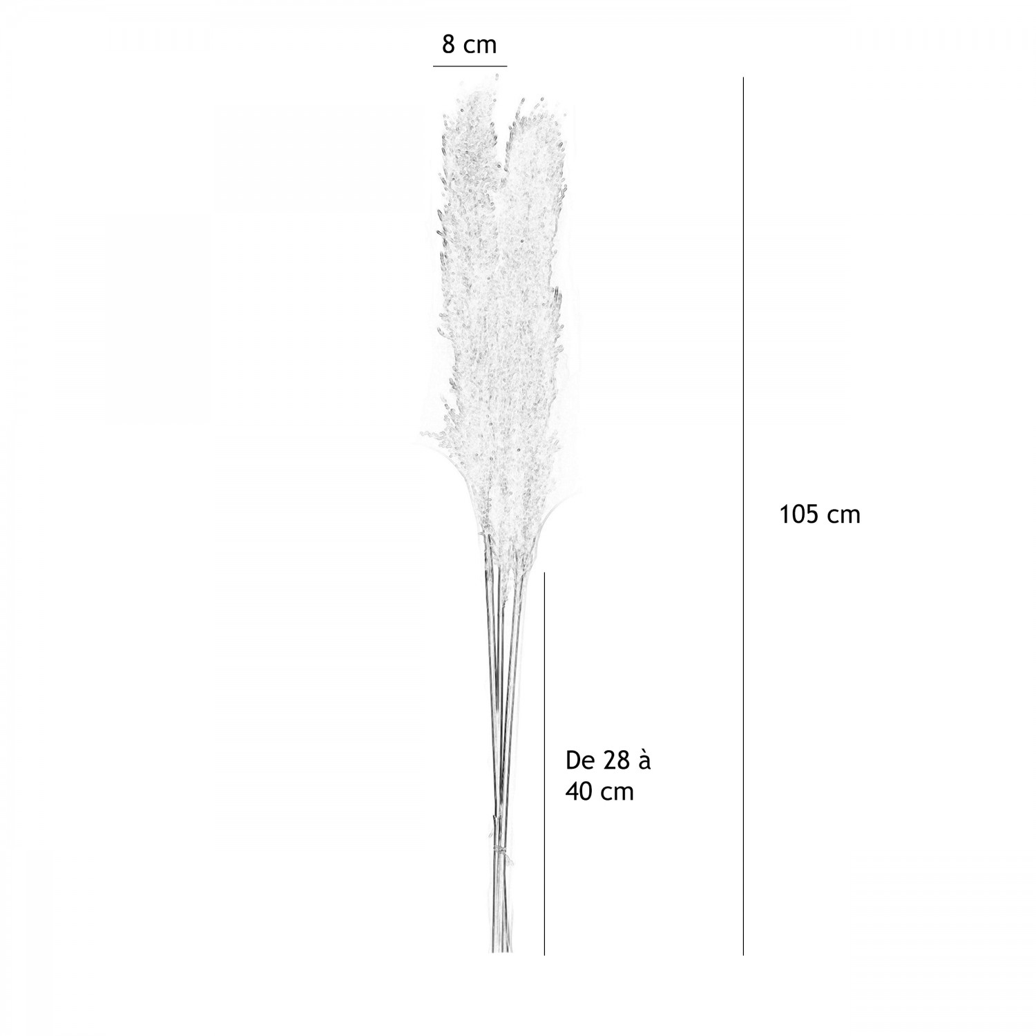 Plumeau plante pampa naturel 105cm lot de 6 graphique avec les dimensions