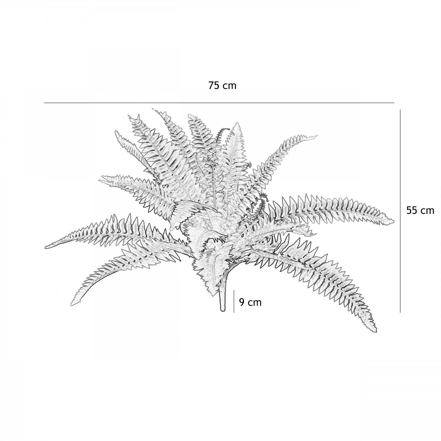 Fougère artificielle en bouquet 55cm graphique avec les dimensions