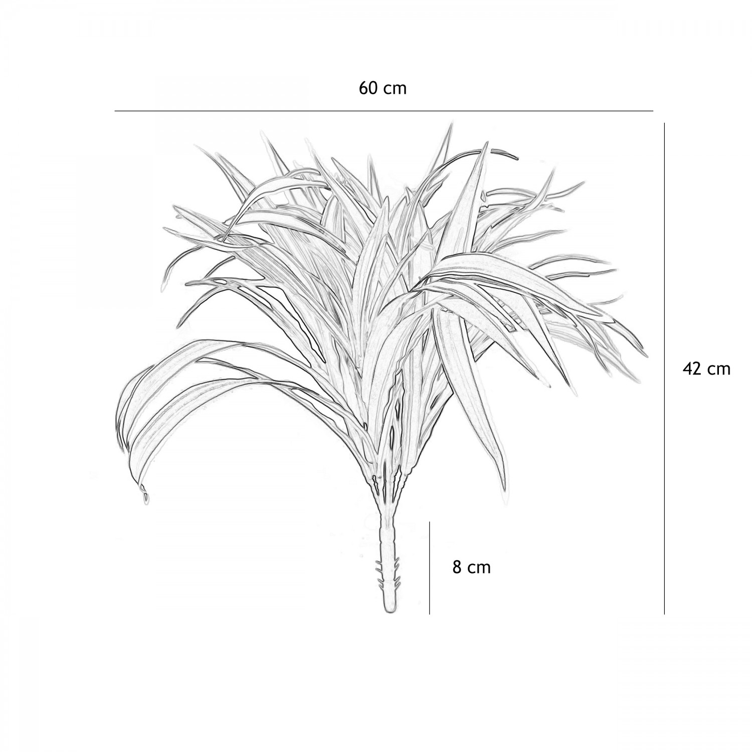 Chlorophytum artificiel en bouquet 42cm graphique avec les dimensions