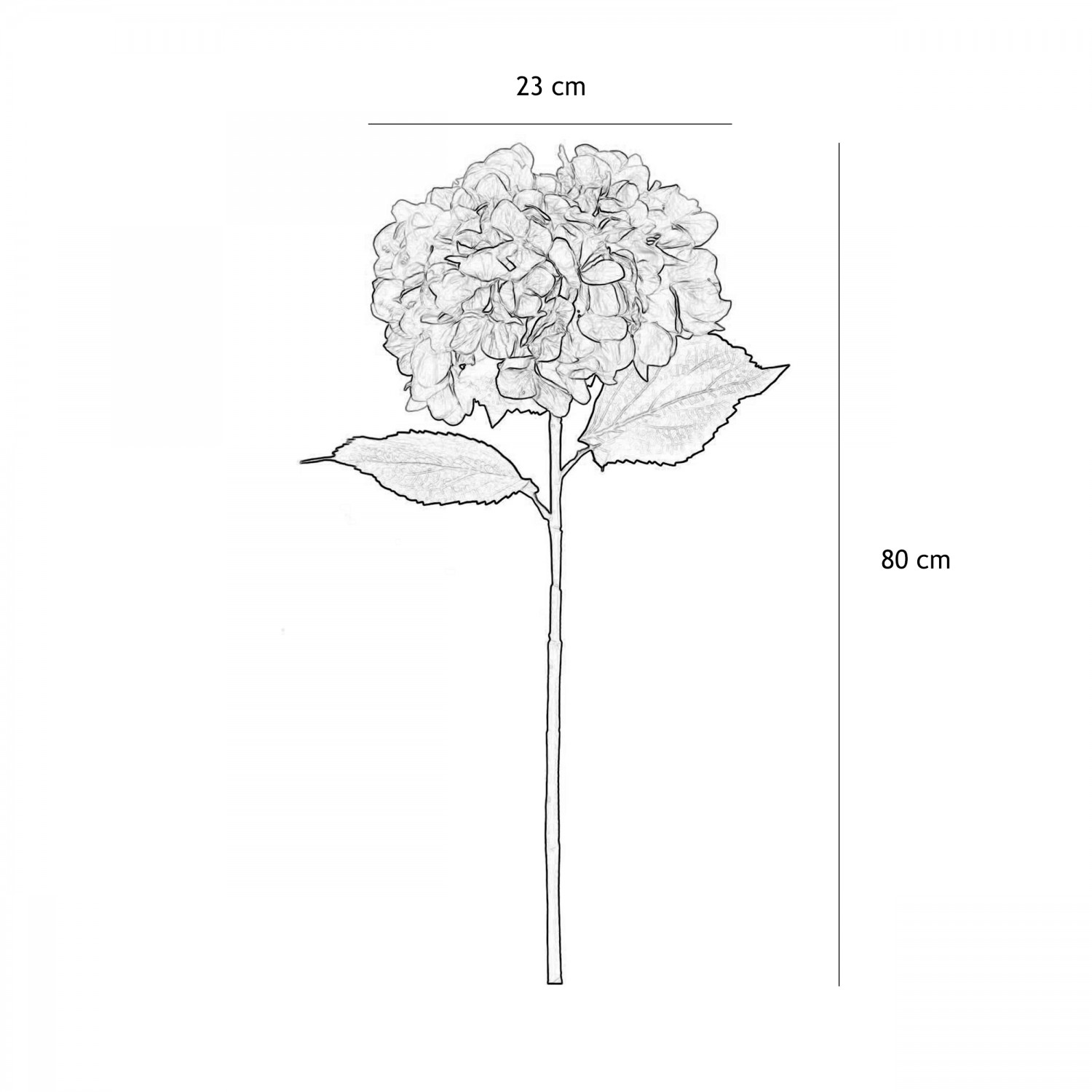 Hortensia artificielle en tige 80cm lot de 12 graphique avec les dimensions