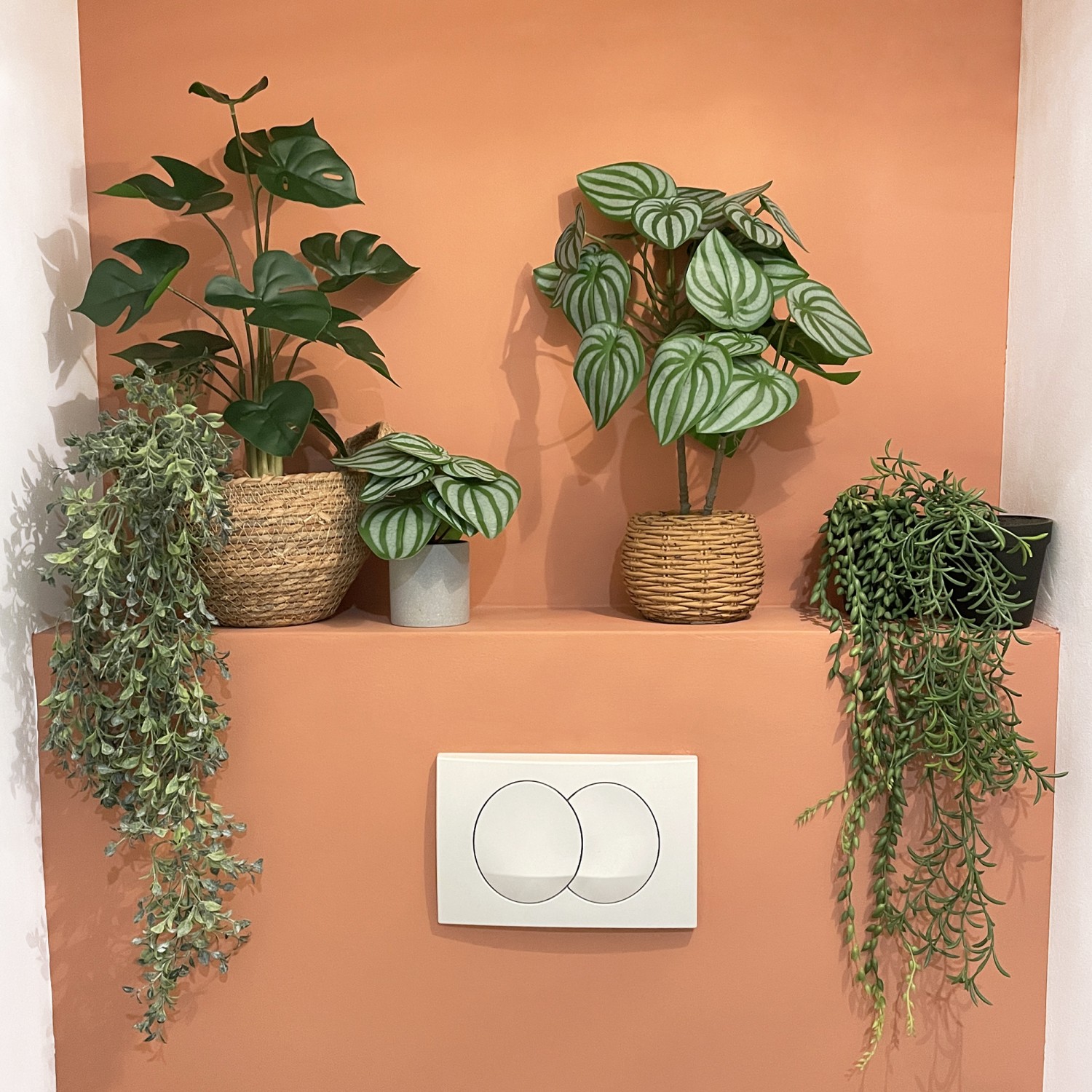 Plantes artificielles 20cm lot de 4 en ambiance avec d'autres plantes dans les toilettes