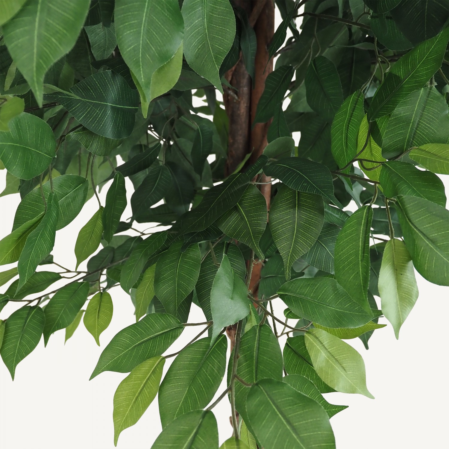 Ficus artificiel vert 210cm focus zoom feuilles