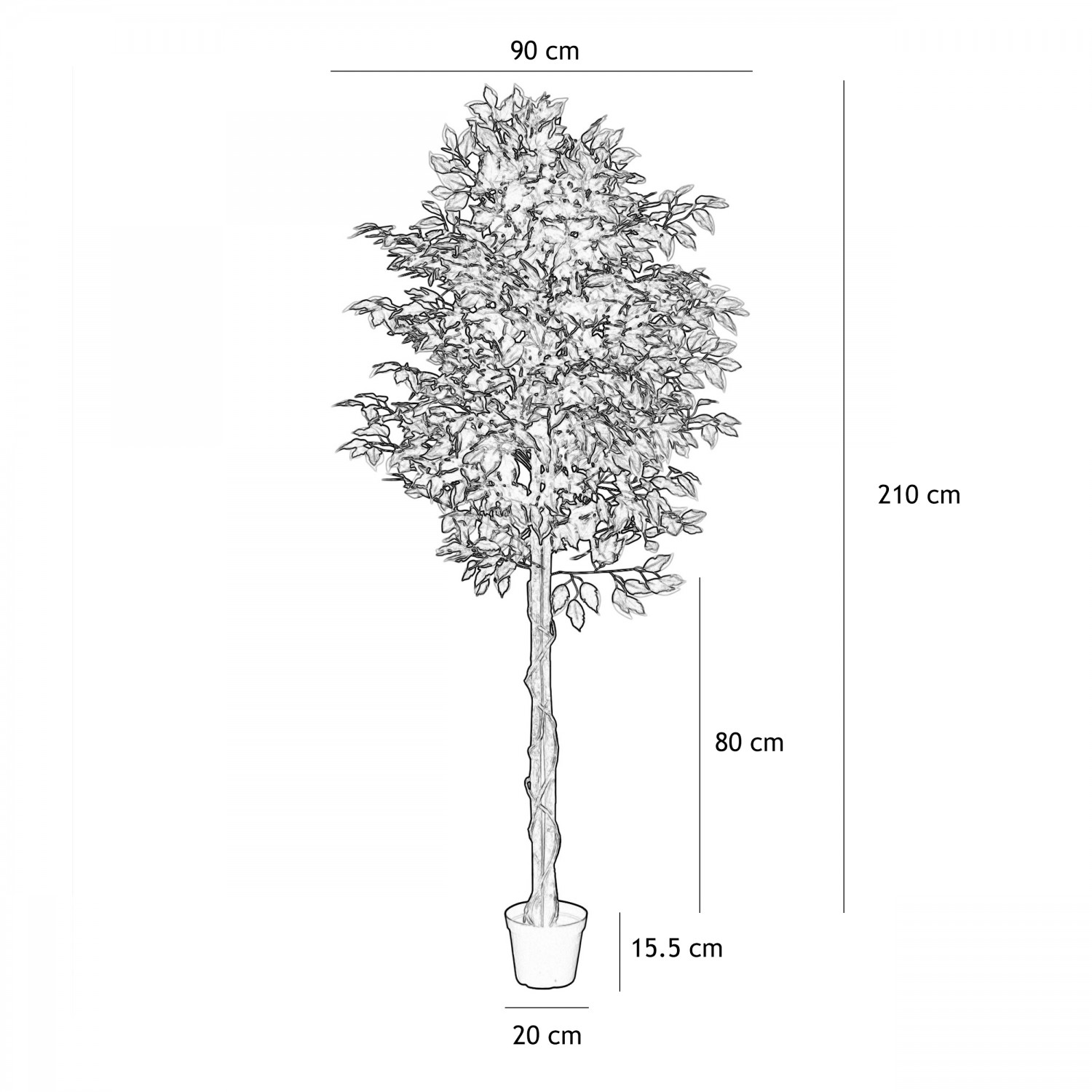 Ficus artificiel panaché 210cm graphique avec les dimension