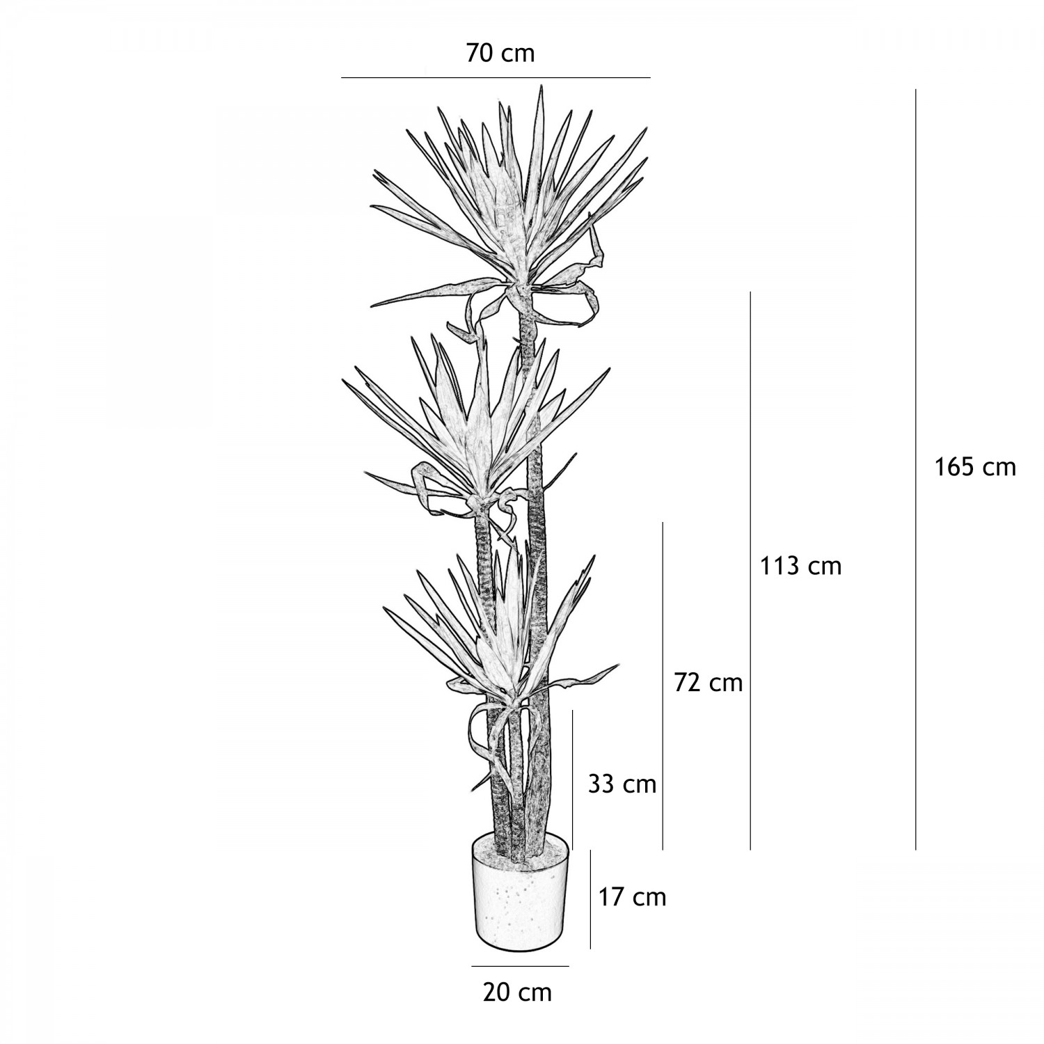 Yucca artificiel 165cm graphique avec les dimensions
