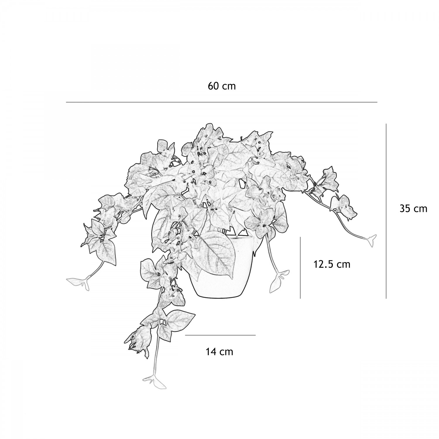 Bougainvillier artificiel fuchsia 35cm graphique avec les dimensions