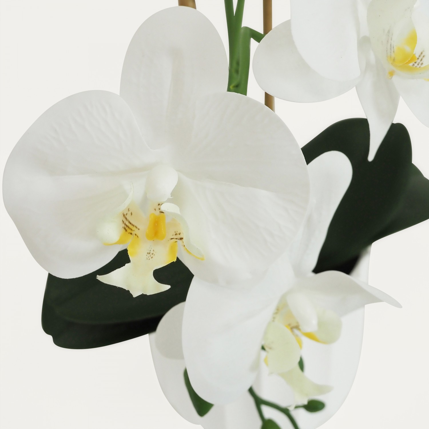 Orchidées artificielles toucher naturel blanc 52cm focus zoom fleurs