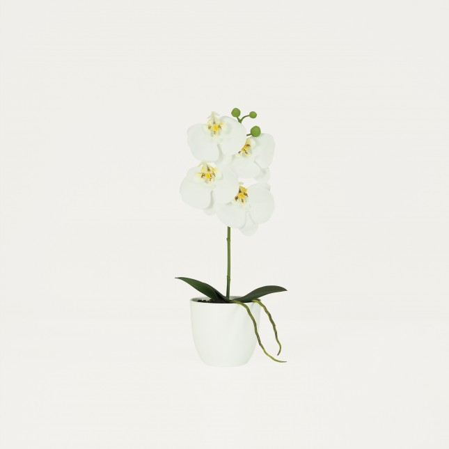 Orchidée artificielle blanche 35cm sur fond beige