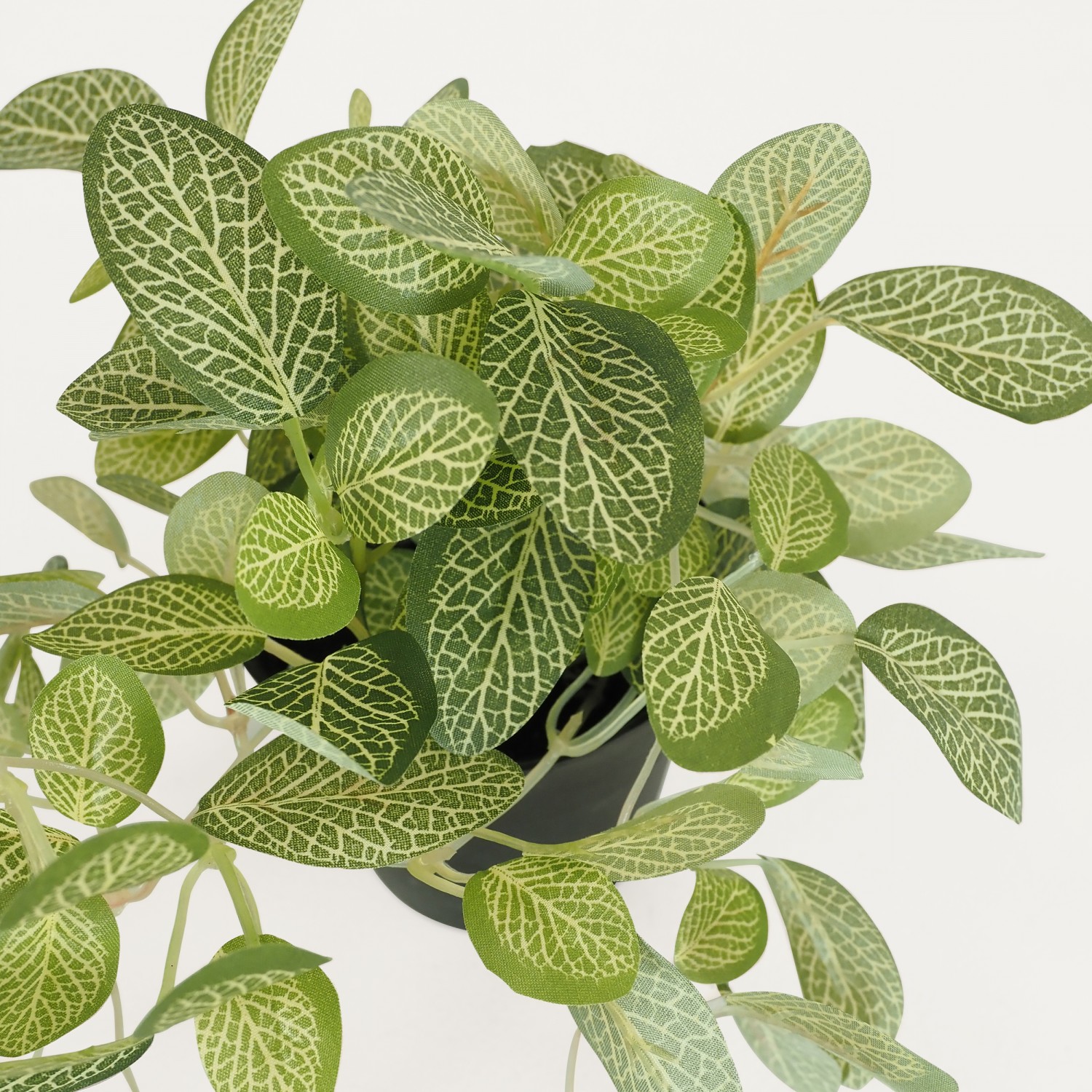 Plante verte artificielle tombante 18cm lot de 2 focus zoom feuilles