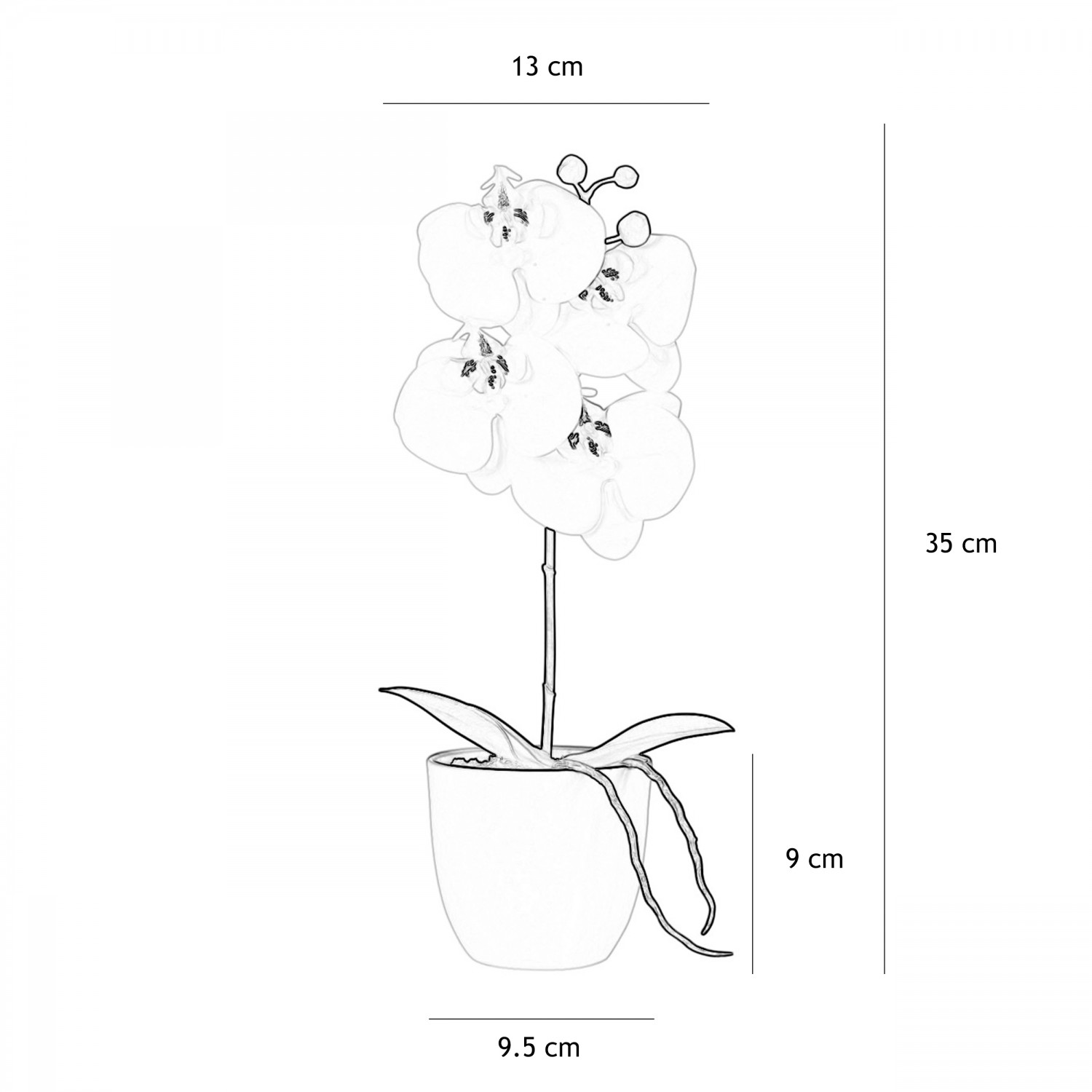 Orchidée artificielle blanche 35cm graphique avec les dimensions