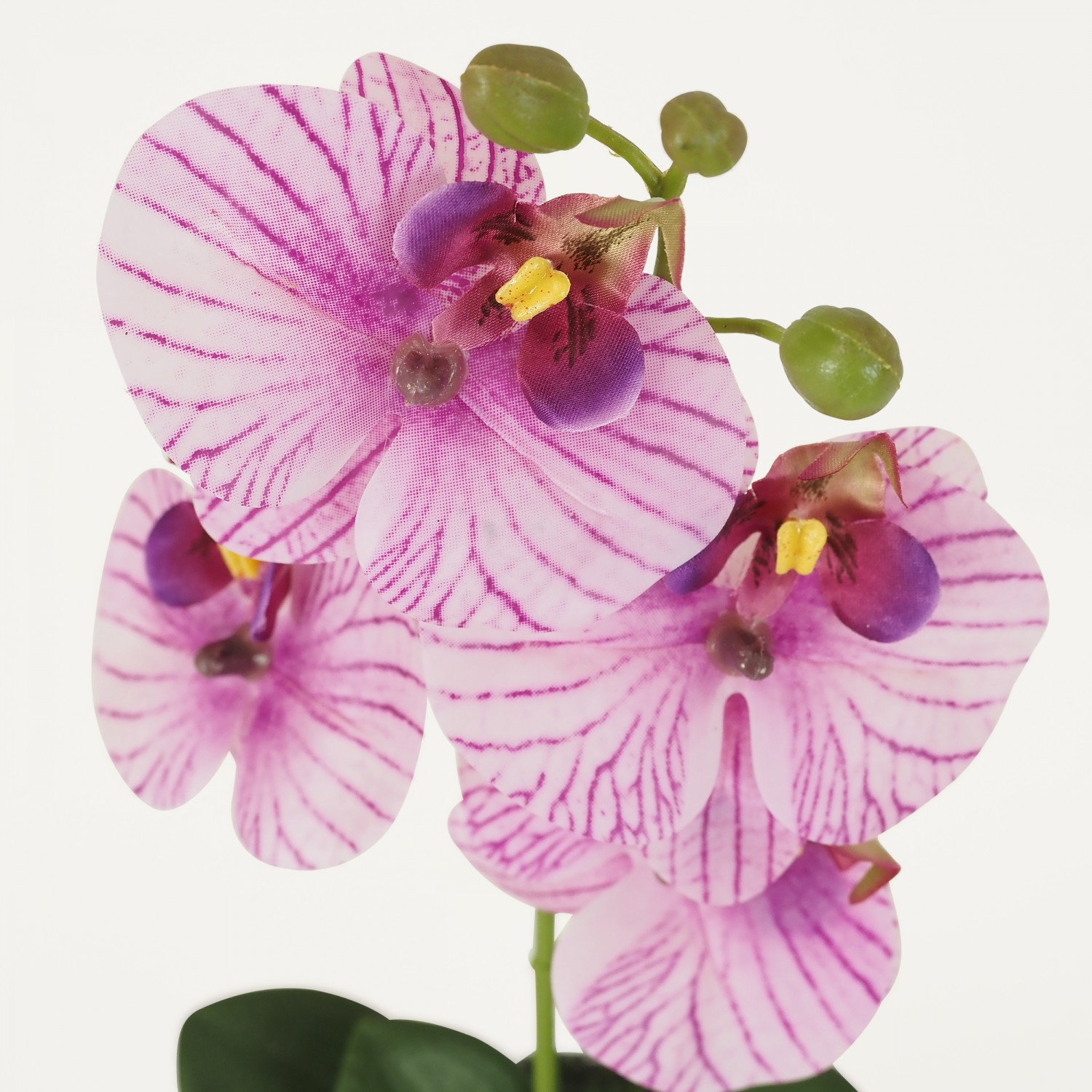 Orchidée artificielle veinée 35cm focus fleurs