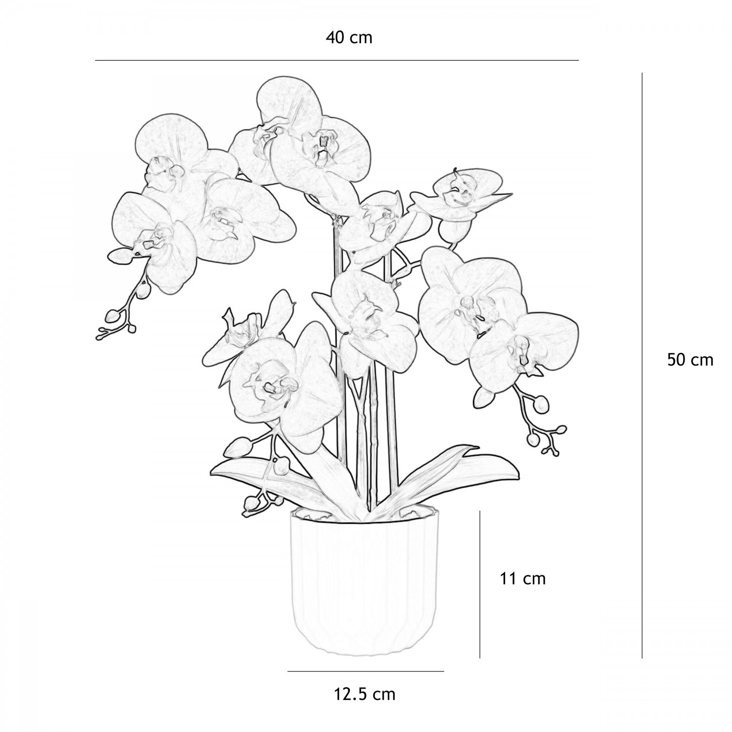 Orchidée artificielle fuchsia 50cm graphique avec les dimensions