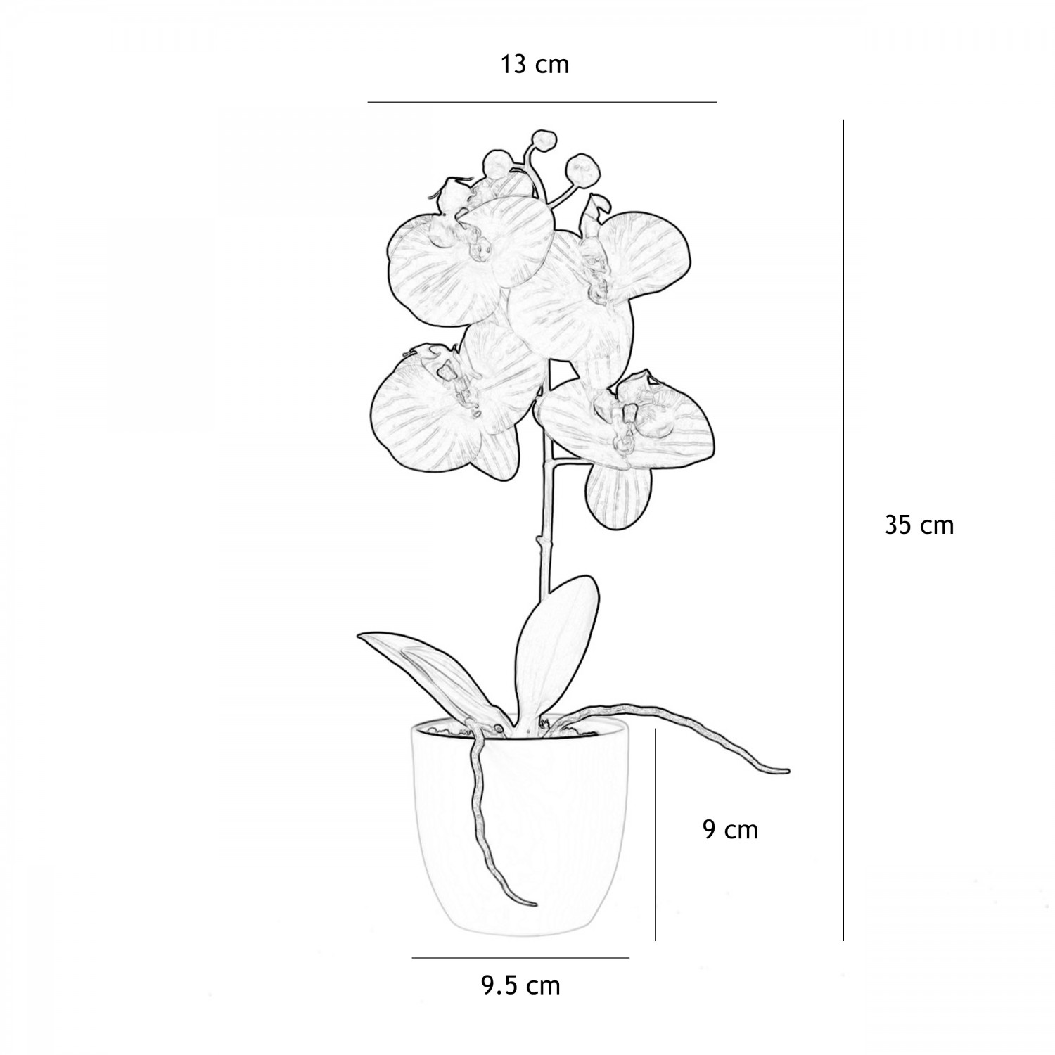 Orchidée artificielle fuchsia 35cm graphique avec les dimensions