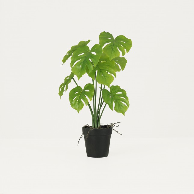 Monstera artificiel 35cm sur fond beige