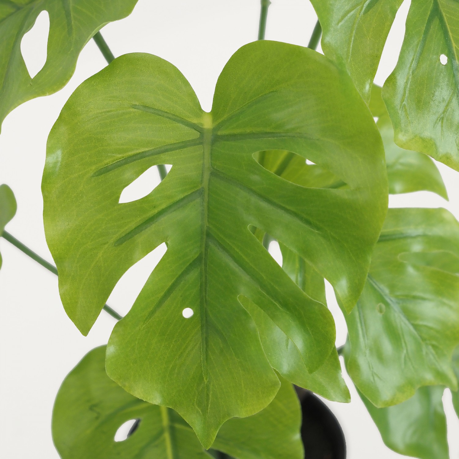 Monstera artificiel 35cm focus zoom feuilles