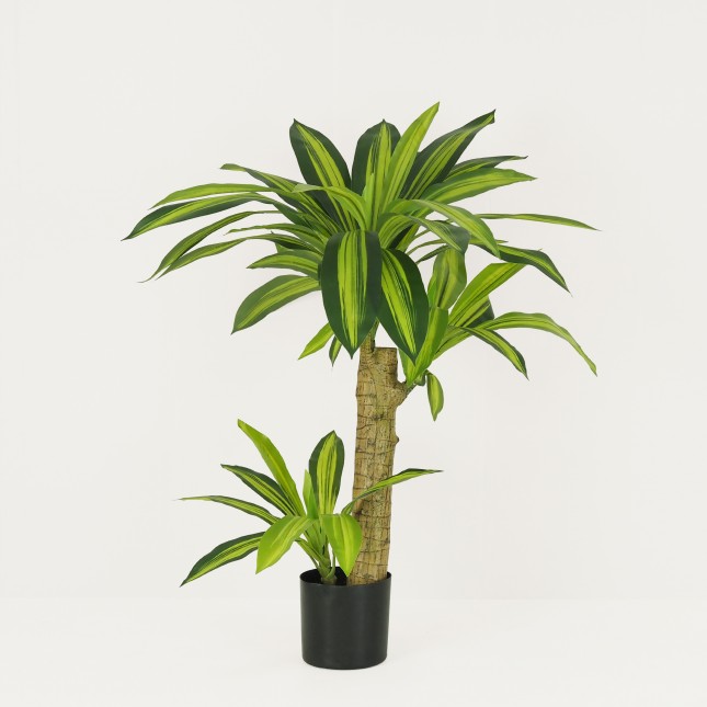 Dracena artificiel toucher naturel 80cm sur fond beige