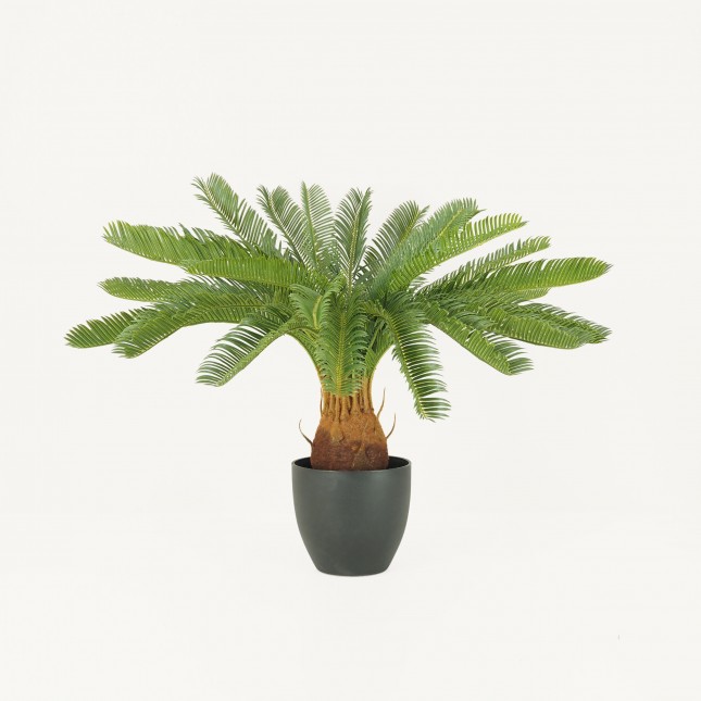 Palmier artificiel cycas 70cm sur fond beige