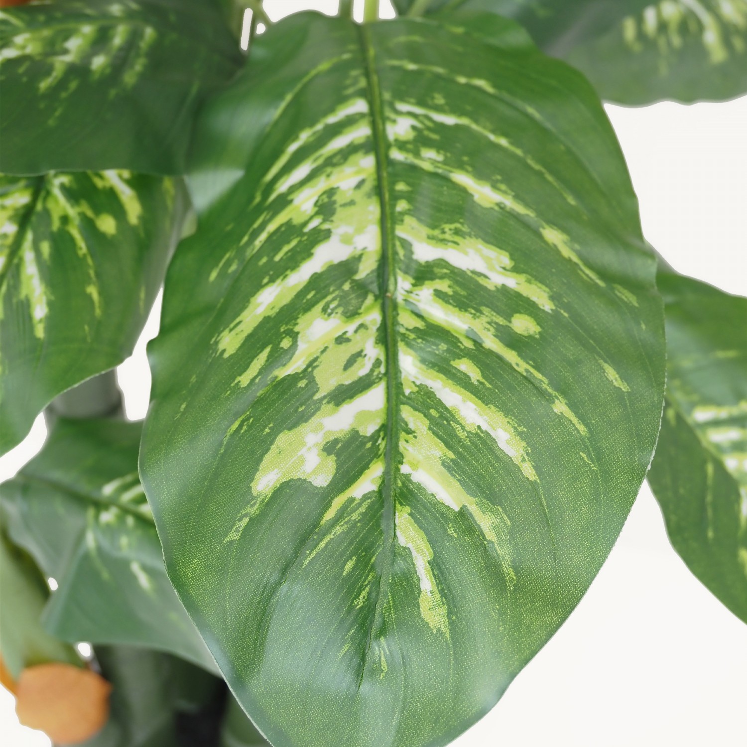 Dieffenbachia artificiel toucher naturel 130cm focus zoom feuilles