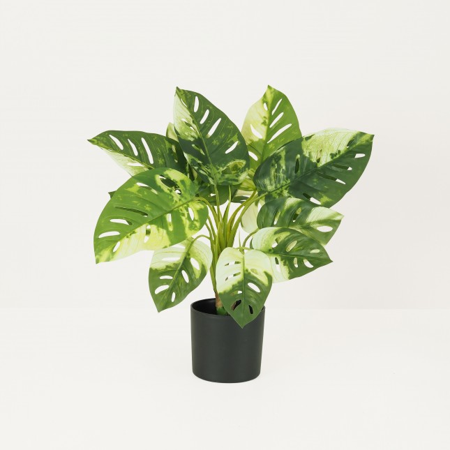 Monstera artificiel toucher naturel 50cm sur fond beige