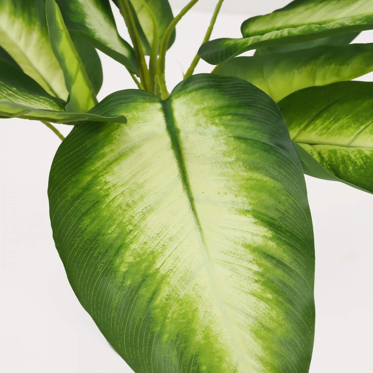 Dieffenbachia artificiel toucher naturel 50cm focus feuilles