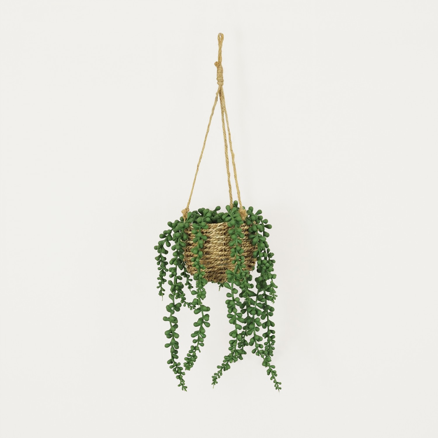 Succulente artificielle suspension 60cm sur fond beige