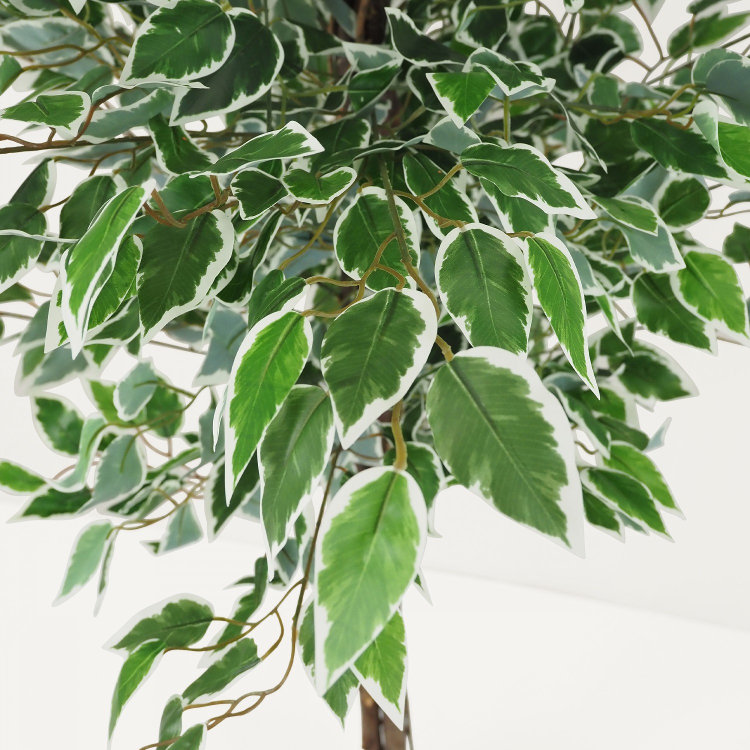 Ficus artificiel panaché 180cm focus zoom feuilles