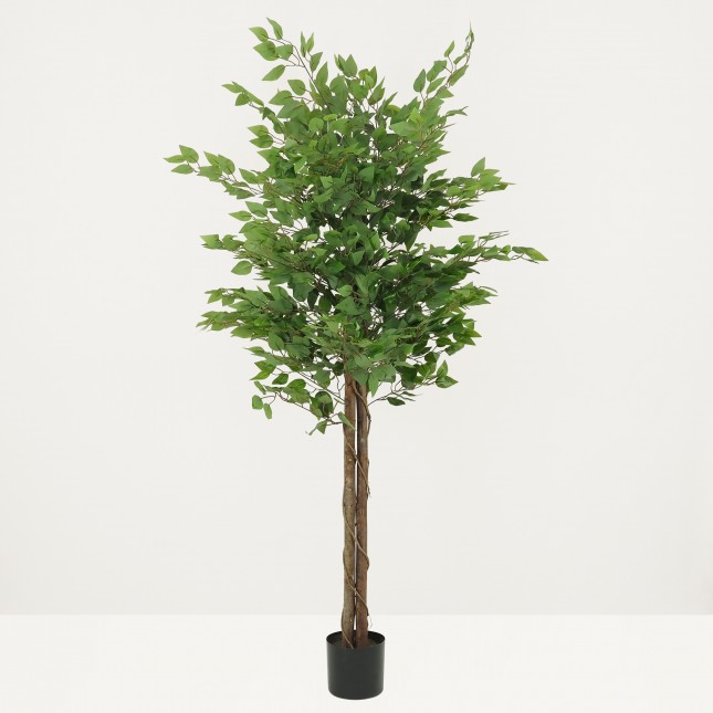 Ficus artificiel vert 180cm sur fond beige