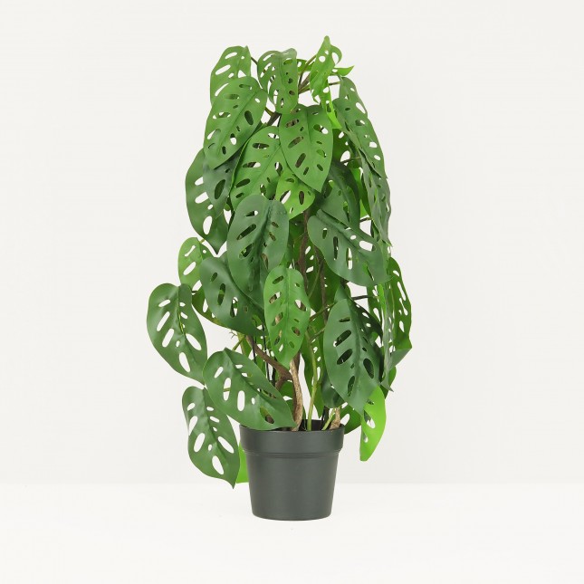 Monstera artificiel topiaire 80cm sur fond beige