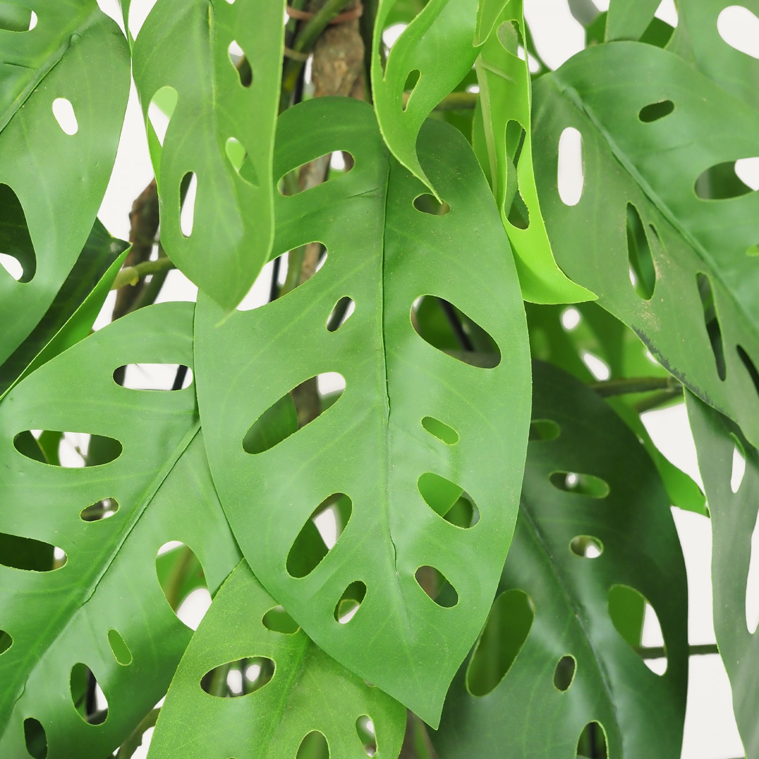 Monstera artificiel topiaire 80cm focus zoom feuilles